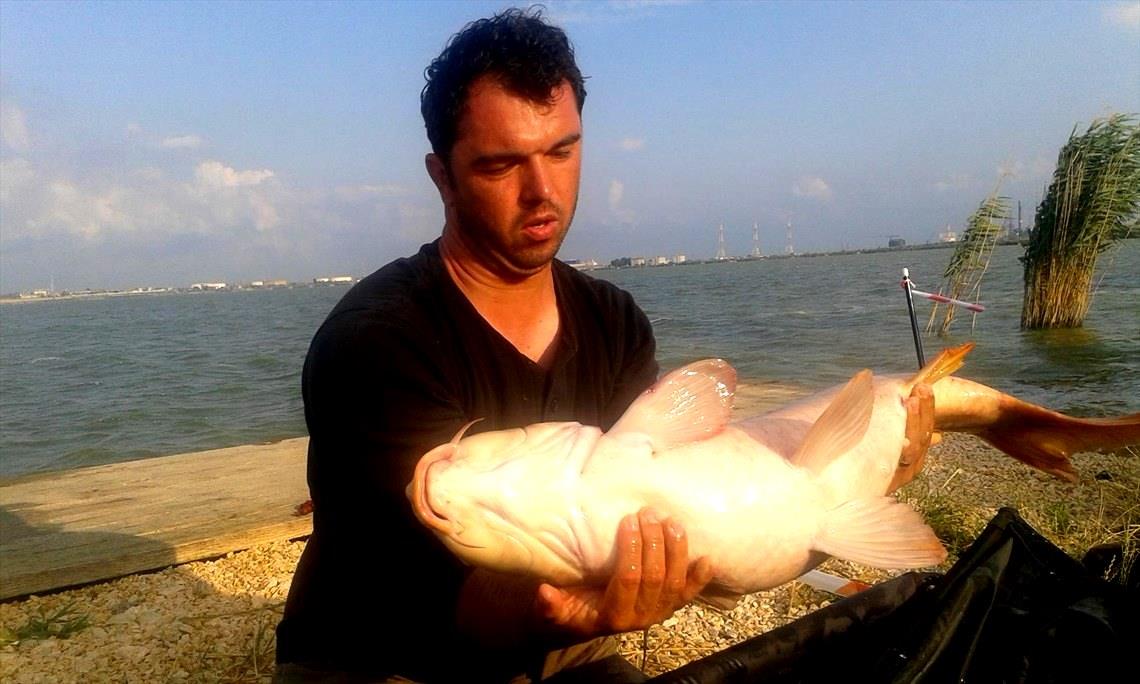 Corbu 3 - 5 iulie 2015 - 20150704185325.jpg